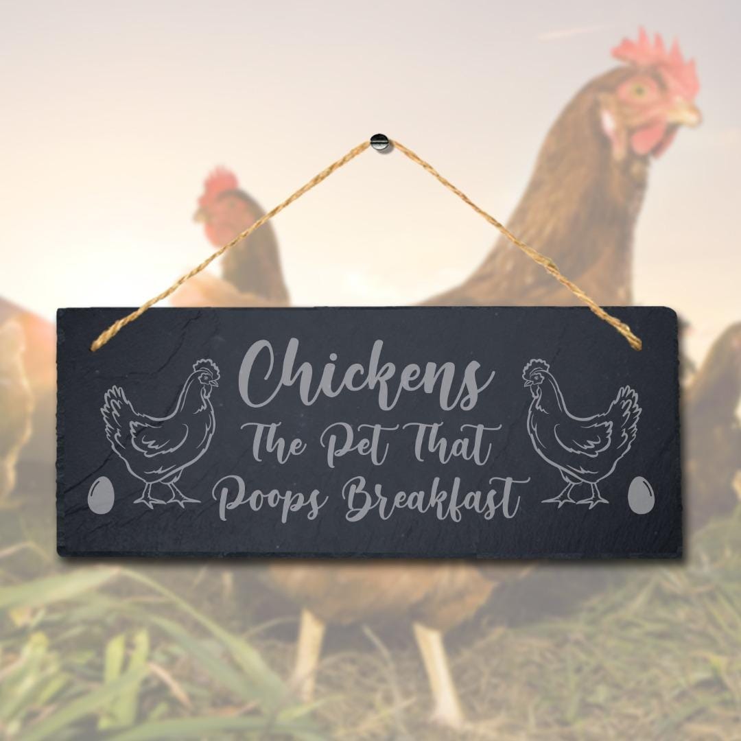 Chickens The Pet That Poops Breakfast Engraved Hanging Slate Chick Plaque Sign
