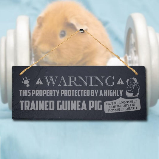 Warning The Property Protected By Trained Guinea Pig Hanging Slate Pigsties Sign