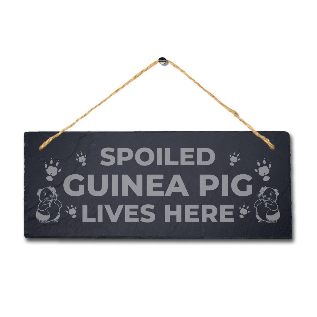 Spoiled Guinea Pig Live Here Laser Engraved Hanging Slate Pig Cote Pigsties Sign