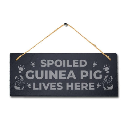 Spoiled Guinea Pig Live Here Laser Engraved Hanging Slate Pig Cote Pigsties Sign