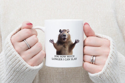 Funny Sarcastic Coffee Mug & Coaster Set - 'Idk How Much Longer I Can Slay'