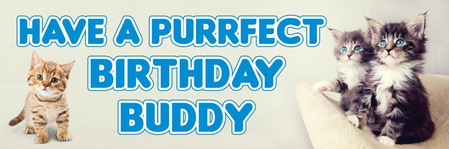 2 Personalised Cat Purrfect Day Birthday Celebration Banners Decoration Posters