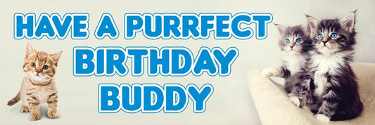 2 Personalised Cat Purrfect Day Birthday Celebration Banners Decoration Posters