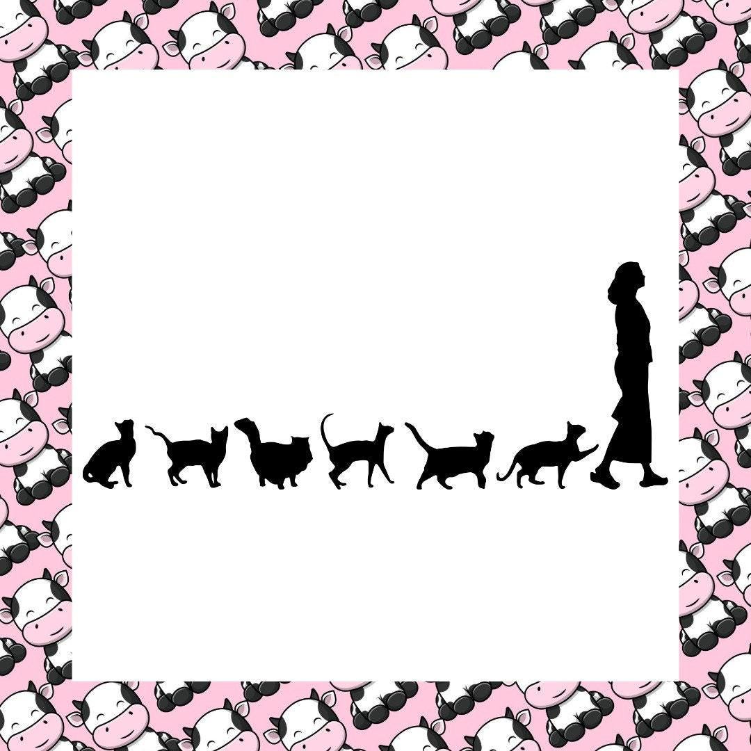 Crazy Cat Lady Scratch Car Bumper Window Vinyl Sticker Decal