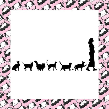 Crazy Cat Lady Scratch Car Bumper Window Vinyl Sticker Decal