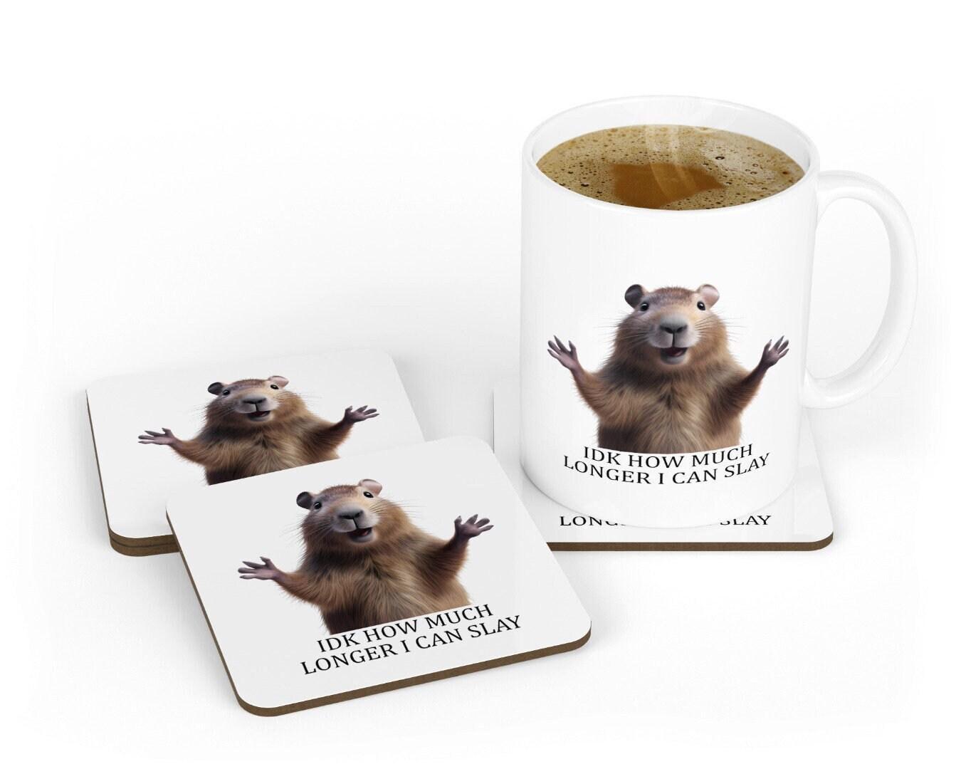 Funny Sarcastic Coffee Mug & Coaster Set - 'Idk How Much Longer I Can Slay'