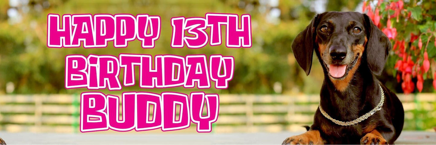 2 Personalised Dachsund Sausage Dog Birthday Party Celebration Banners Posters