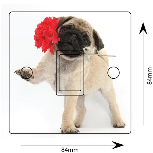 Pug Puppy Light Switch Sticker: Rose Flower Design