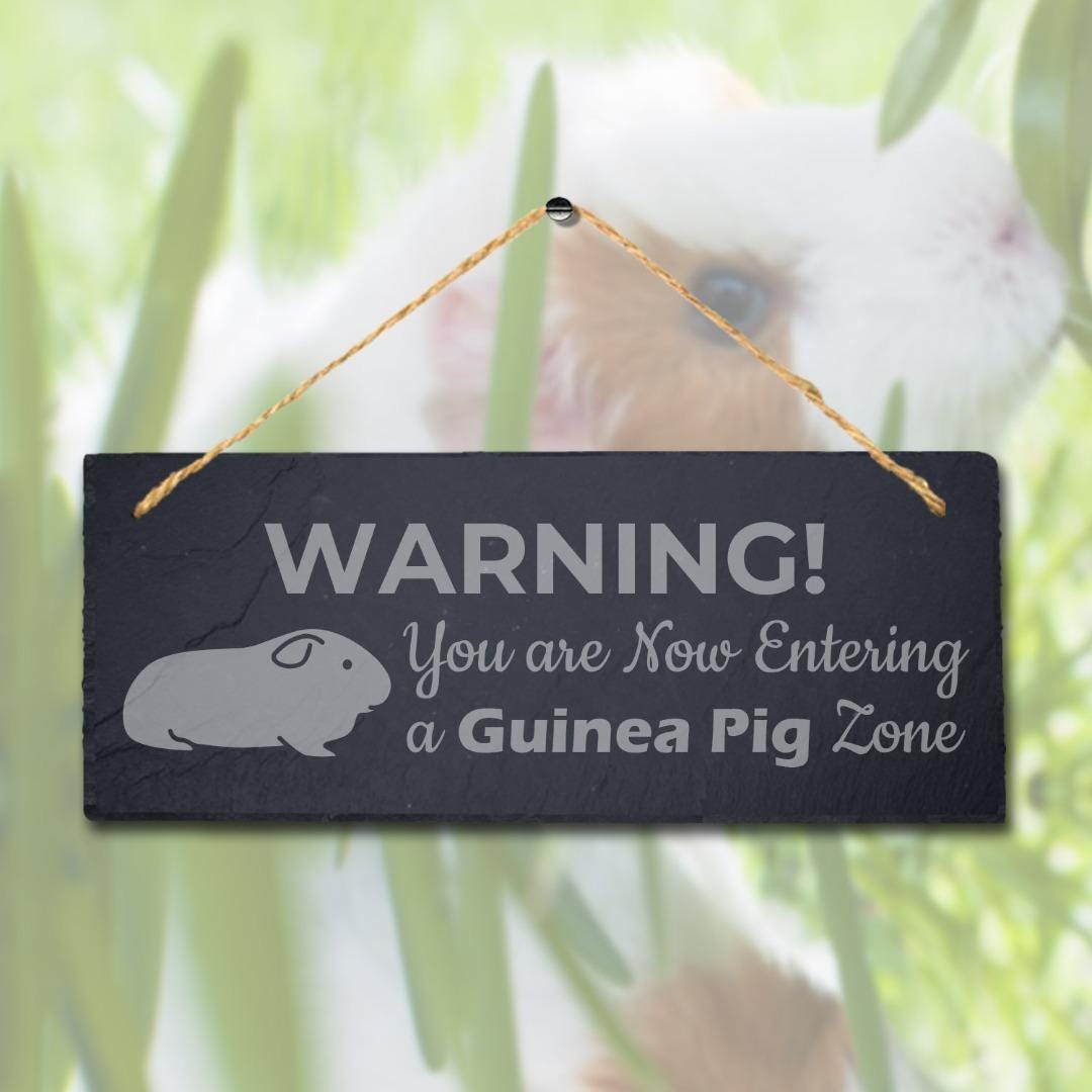 Warning You Entering Guinea Pig Zone Hanging Slate Pig Cote Pigsties Plaque Sign