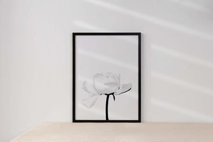 Peony Flower Bedroom Minimalist Plants Wall Art Home Room Decor Print Poster