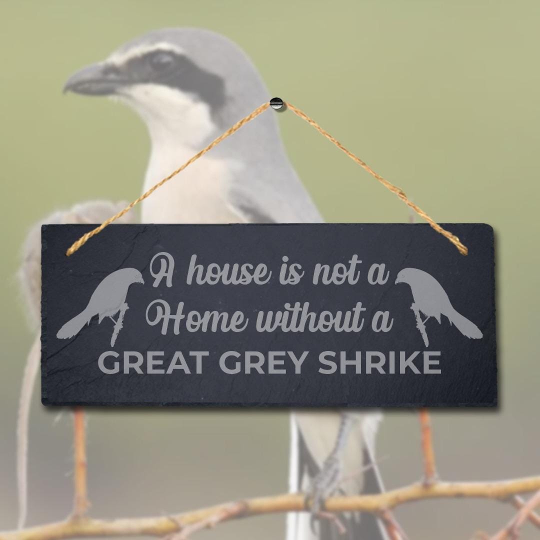 A House Is Not Home Without Great Grey Shrike Engraved Hanging Slate Bird Sign