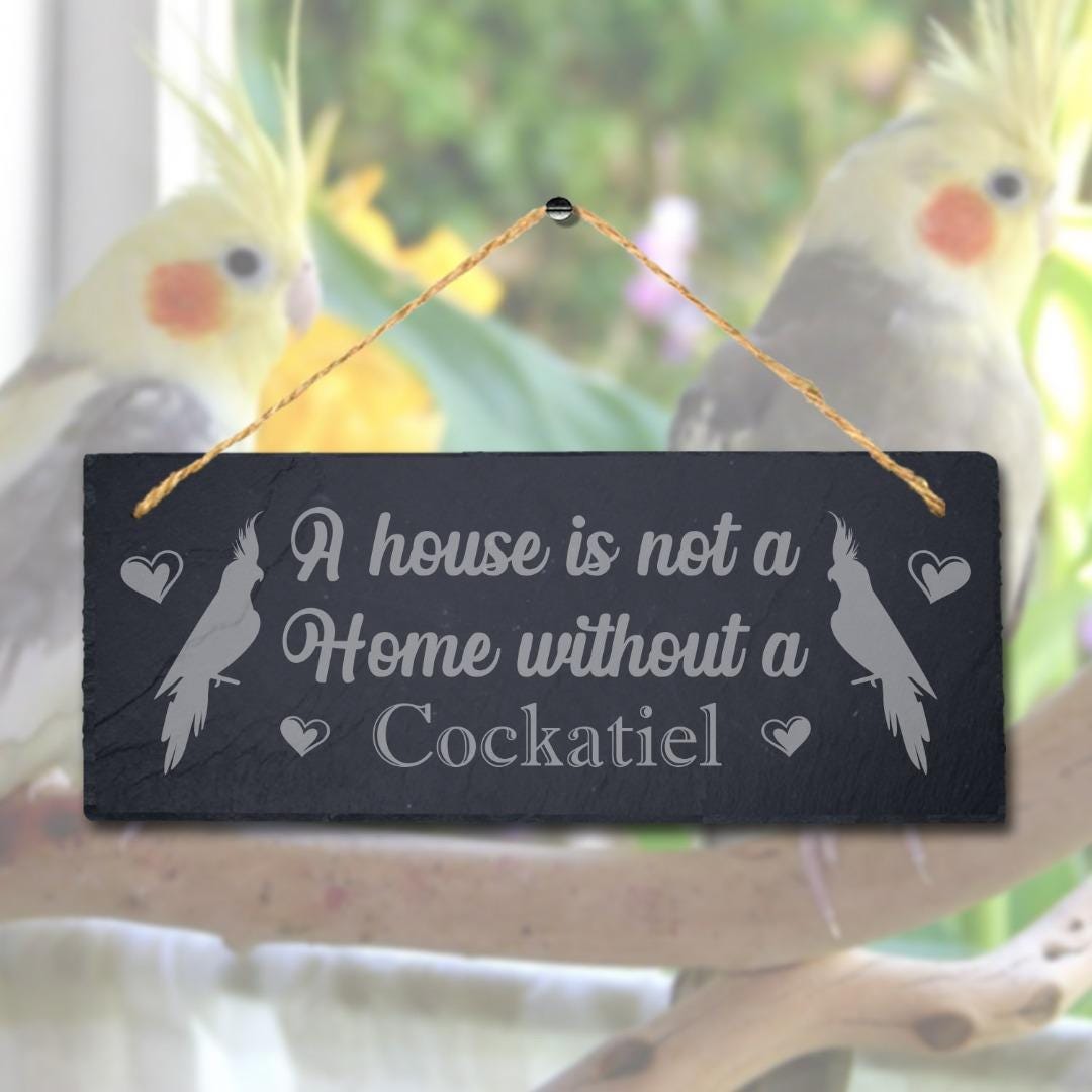 House Not Home Without Cockatiel Laser Engraved Hanging Slate Bird Plaque Sign