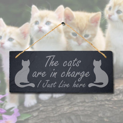 The Cats Are In Charge I Live Here Laser Engraved Hanging Slate Pet Plaque Sign
