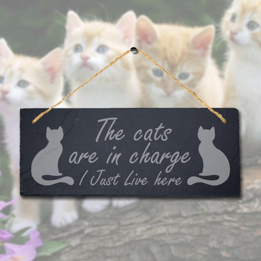 The Cats Are In Charge I Live Here Laser Engraved Hanging Slate Pet Plaque Sign