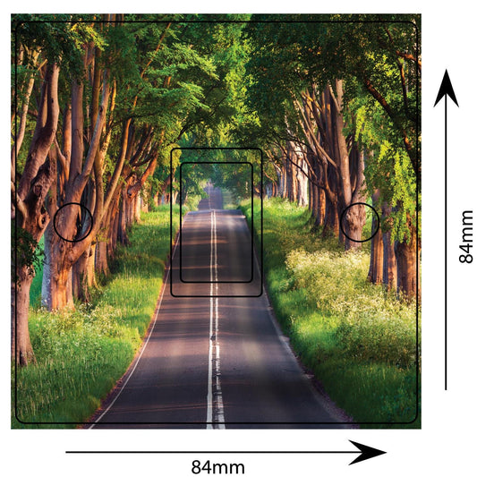 Forest Road Path 3d Art Light Switch Sticker Cover Vinyl Skin Wall Decal Decor