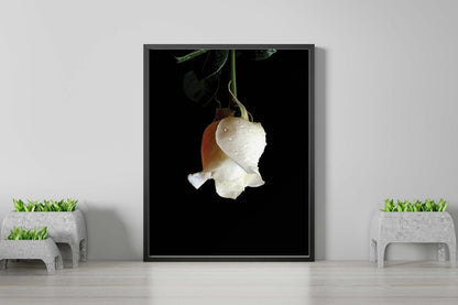 Rose Flower Bedroom Minimalist Plants Wall Art Home Room Decor Print Poster