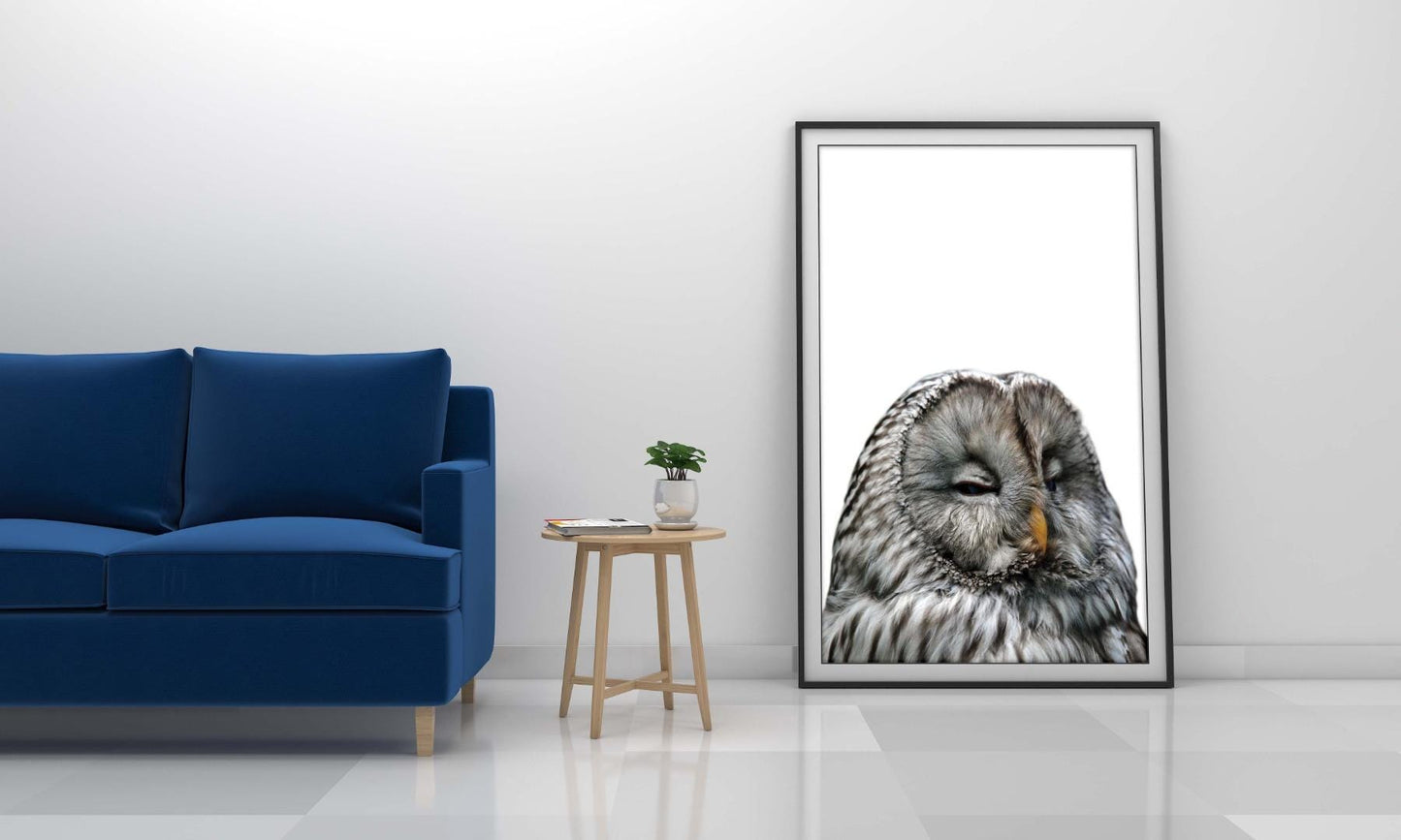 Owl Kids Bedroom Forest Woodland Birds Wall Art Home Room Decor Print Poster
