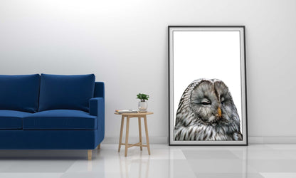 Owl Kids Bedroom Forest Woodland Birds Wall Art Home Room Decor Print Poster