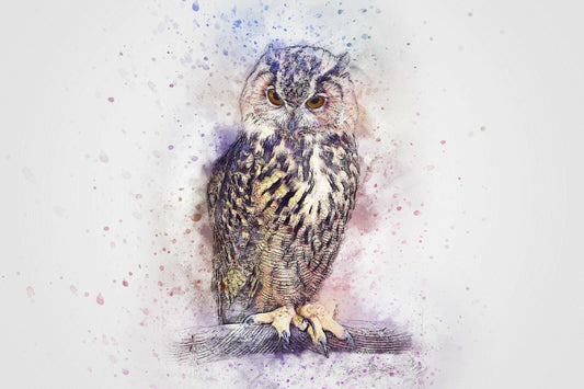 Bird Owl Abstract Watercolour Art Giant Poster - A5 A4 A3 A2 A1 A0 Sizes