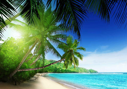 Beach Sandy Palm Lined Tropical Giant Poster - A4 A3 A2 A1 Sizes