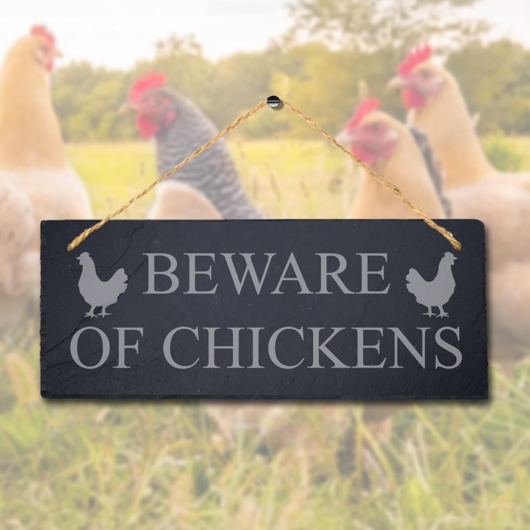Beware Of Chickens Laser Engraved Hanging Slate Caution Home Decor Plaque Sign