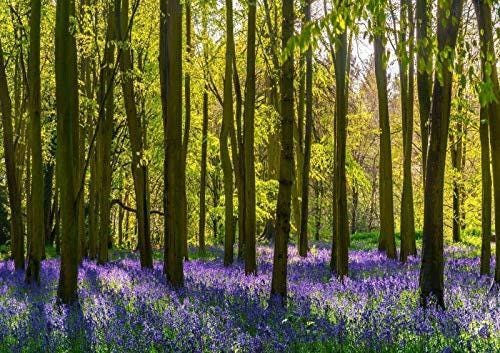 Purple Flowers Forest Trees Living Room Bedroom Giant Poster - A4 A3 A2 A1 Sizes