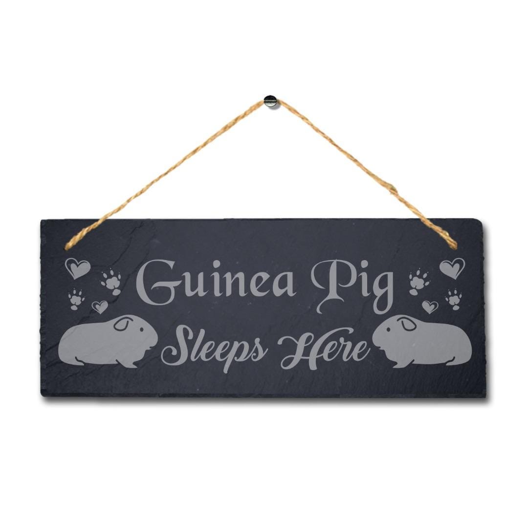 Guinea Pig Sleep Here Laser Engraved Hanging Slate Pig Cote Pigsties Plaque Sign