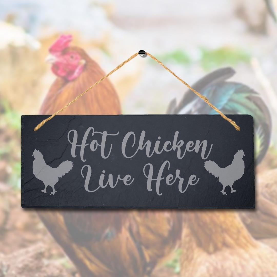 Hot Chicken Live Here Laser Engraved Hanging Slate Chick Hen Shed Plaque Sign