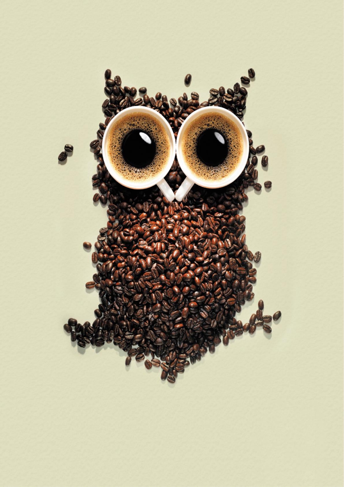 Owl Coffee Mug Poster: Whimsical Kitchen Art Print